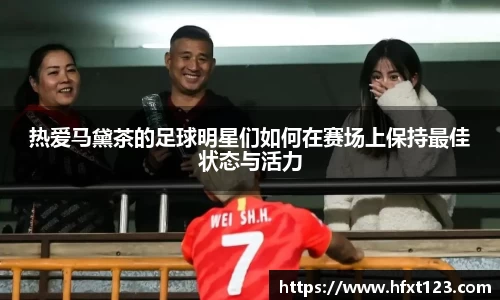 热爱马黛茶的足球明星们如何在赛场上保持最佳状态与活力